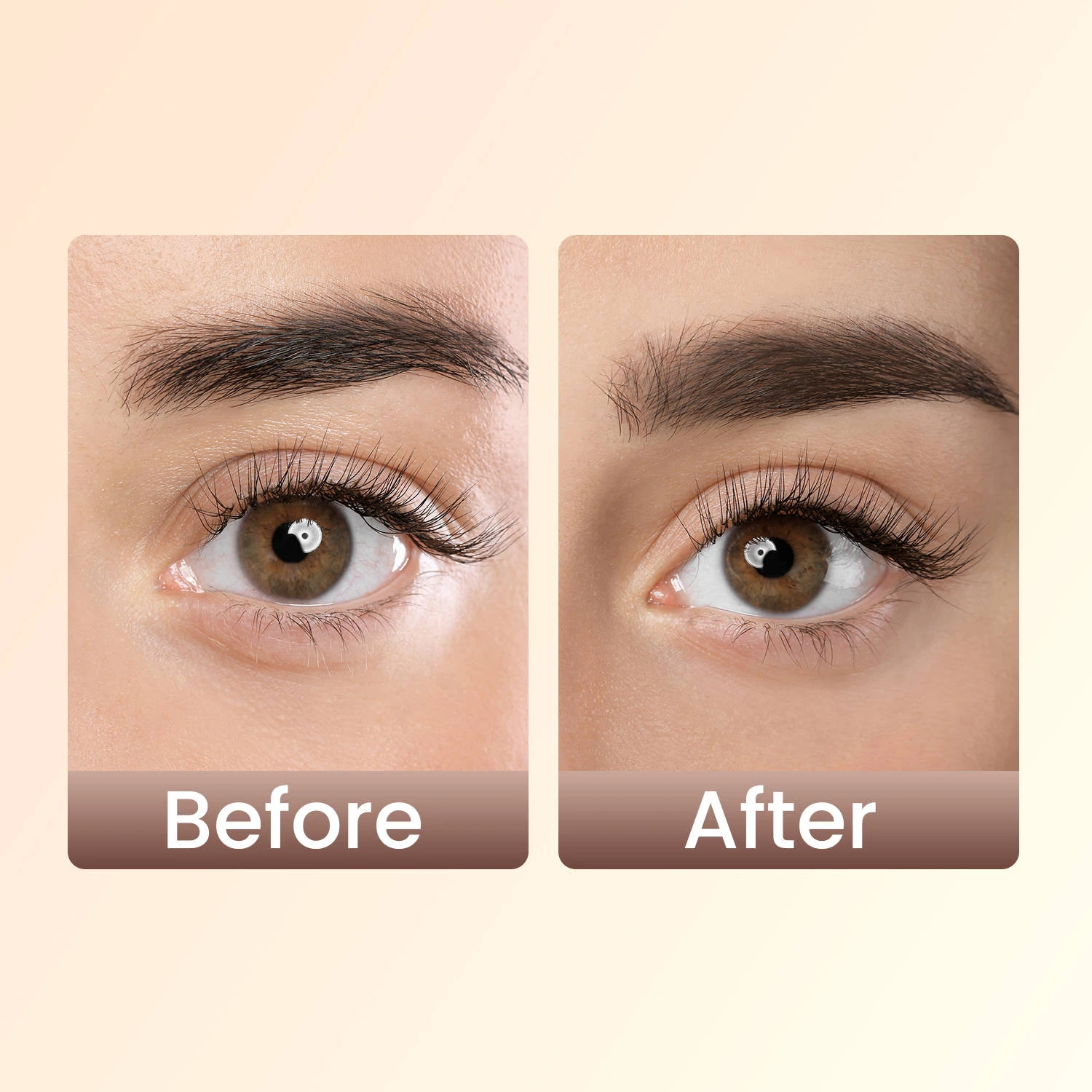 Swiss Beauty Brow Definer Pencil - 01 Chestnut